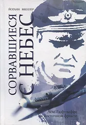 Сорвавшиеся с небес. Асы Люфтваффе на Восточном фронте