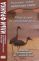 Идешь ко мне по скошенным лугам… Польские стихотворения XIX — начала XX века