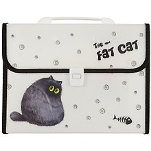 Папка -портфель пластиковый «Fat cat» А4, 12 отделений