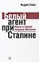 Белый агент при Сталине. Жизнь и борьба генерала Носовича - 0