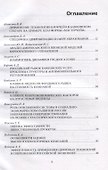 Будущее российских корпораций. Стратегическое развитие и эффективное управление финансами. Материалы молодежной научно-практической конференции V Международного форума Финансового университета «Как попасть в пятерку». Сборник материалов - 1