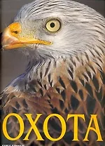 Альбом Охота