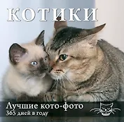 Котики. Лучшие кото-фото. 365 дней в году