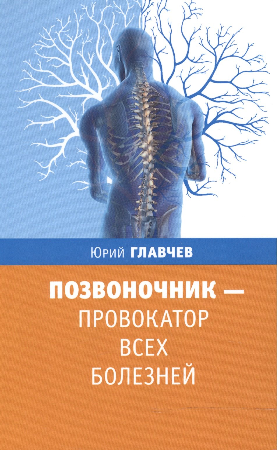 

Позвоночник - провокатор всех болезней
