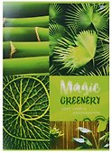 Тетрадь общая «Magic green», 96 листов в клетку, А4, в ассортименте - BG - 0