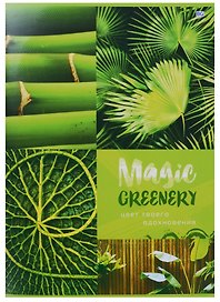 Тетрадь общая «Magic green», 96 листов в клетку, А4, в ассортименте - BG