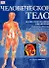 Человеческое тело.Иллюстрированный справочник.Строение,функции и заболевания организма - 0
