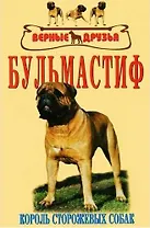 Бульмастиф