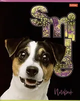 Тетрадь в клетку Hatber, "Улыбнись!", 80 листов, в ассортименте