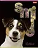 Тетрадь в клетку Hatber, "Улыбнись!", 80 листов, в ассортименте - 0