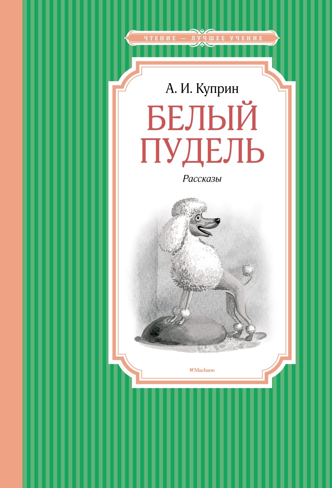 

Белый пудель