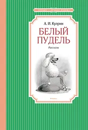 Белый пудель