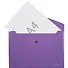 Папка-конверт А4 на кнопке "Matt Vivid" непрозр.пластик, фиолетовый, Erich Krause - 1