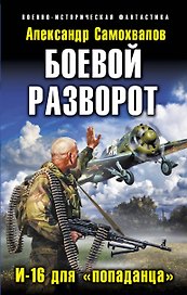 Боевой разворот. И-16 для "попаданца"