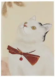 Тетрадь нелинованная "Котик по кличке Миндаль (4)", B5, 32 листа