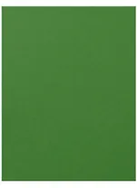 Бумага цветная 50*65 "Iris Vivaldi" Зеленый яркий