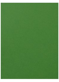 Бумага цветная 50*65 "Iris Vivaldi" Зеленый яркий