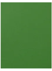 Бумага цветная 50*65 "Iris Vivaldi" Зеленый яркий