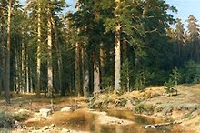 Репродукция в раме (00000135892) Шишкин И.И. Корабельная роща (50х70)