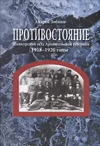 Противостояние. Шенкурский уезд Архангельской губернии. 1918–1920 годы