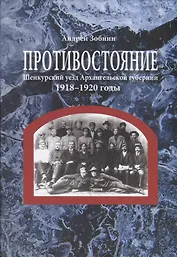 Противостояние. Шенкурский уезд Архангельской губернии. 1918–1920 годы