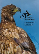 Птицы Кавказа. Кабардино-Балкария