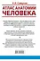 Атлас анатомии человека. Учебное пособие для студентов высших медицинских учебных заведений - 1