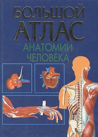 Большой атлас анатомии человека
