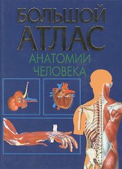 Большой атлас анатомии человека