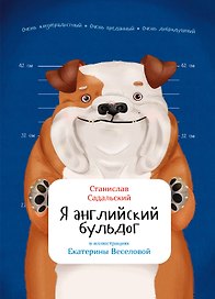 Я английский бульдог