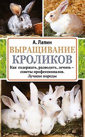 Выращивание кроликов