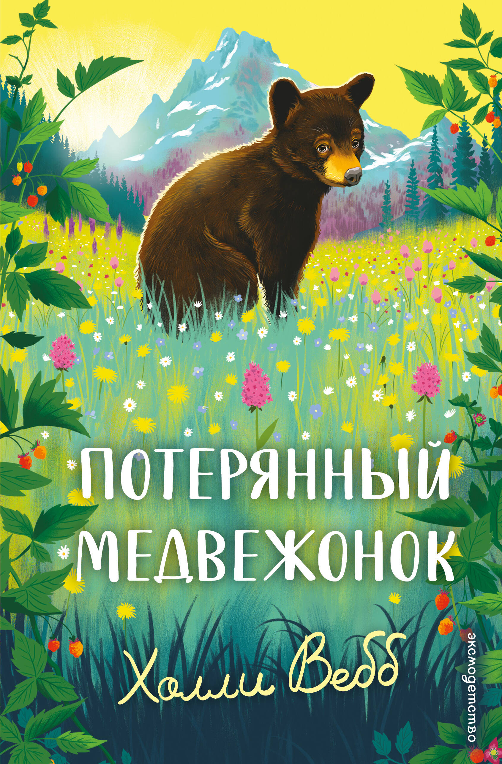 Обложка книги «Потерянный медвежонок»