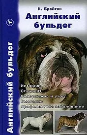 Английский бульдог: История, стандарт, содержание и уход