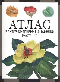 Атлас. Бактерии, грибы, лишайники, растения