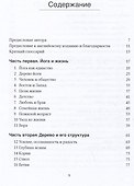 Дерево йоги: Ежедневная практика - 1