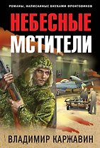 Небесные мстители