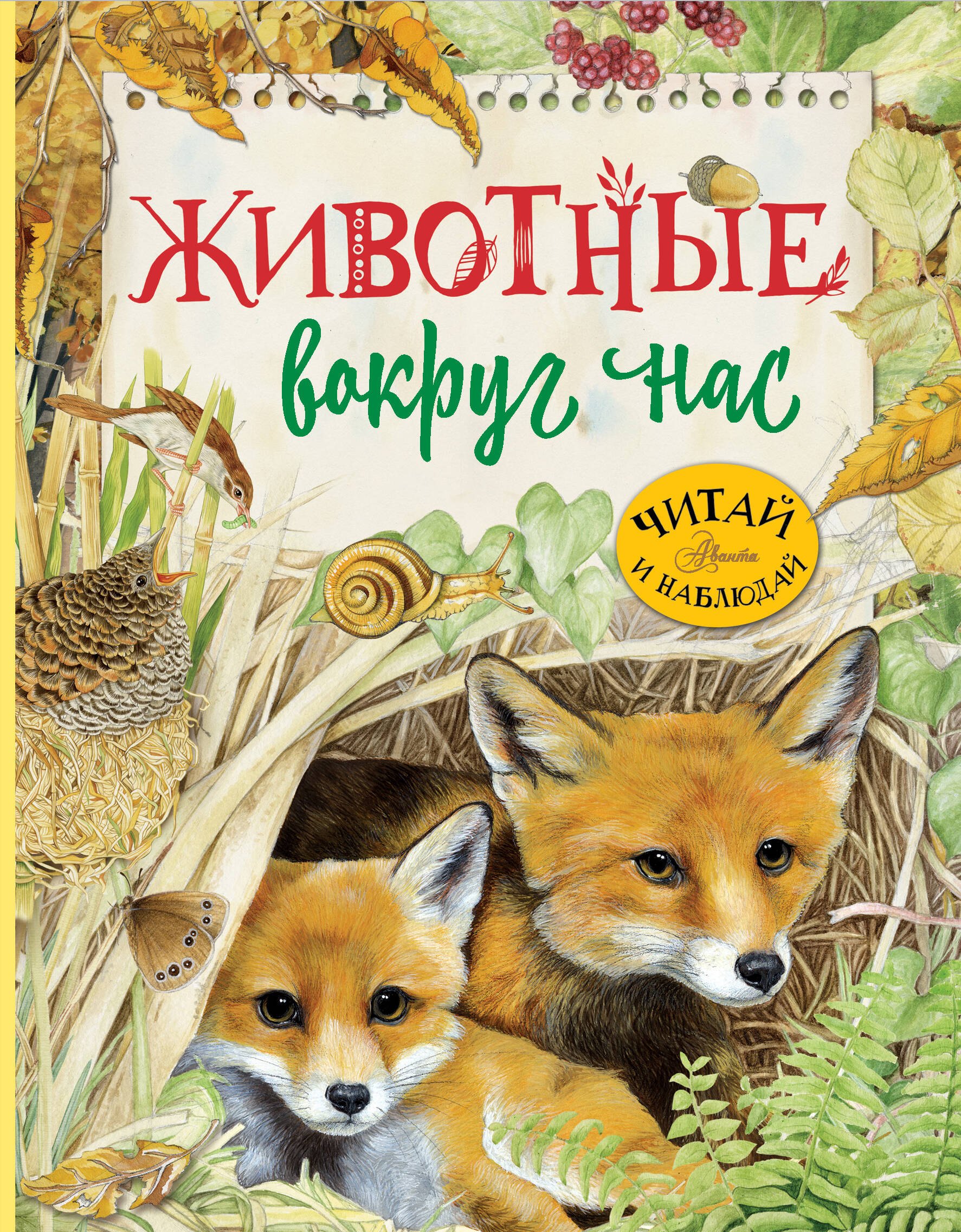 

Животные вокруг нас