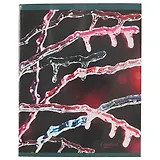 Тетрадь в клетку Unnika, "Хрупкая красота", 48 листов, в ассортименте