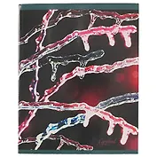 Тетрадь в клетку Unnika, "Хрупкая красота", 48 листов, в ассортименте