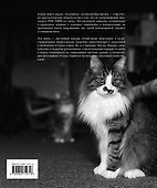 Кошки. Иллюстрированная энциклопедия - 1