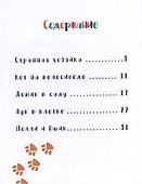 Кот на велосипеде - 1