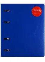 Тетрадь на кольцах в клетку InFolio, Barcelona, 120 листов, синяя