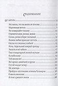 Открытое окно - 1