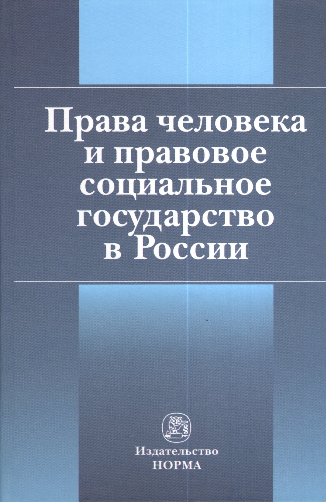 

Права человека и правовое социальное государство в России