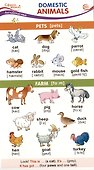 Карточка-шпаргалка. Domestic Animals (Домашние животные) - 0