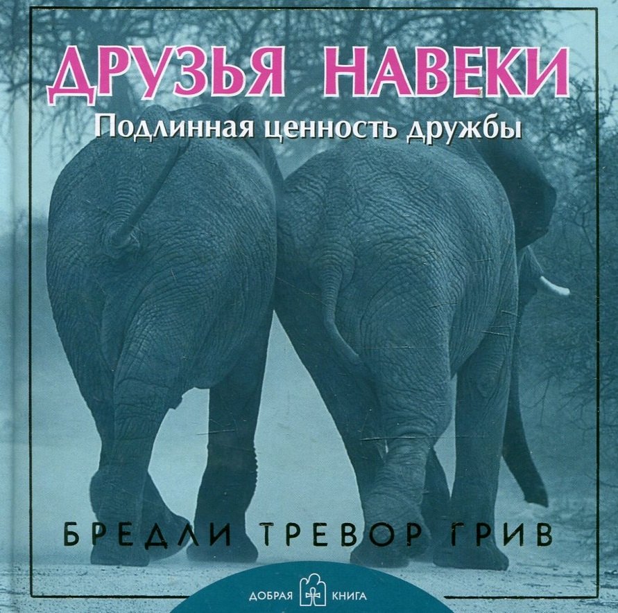 

Друзья навеки. Подлинная ценность дружбы
