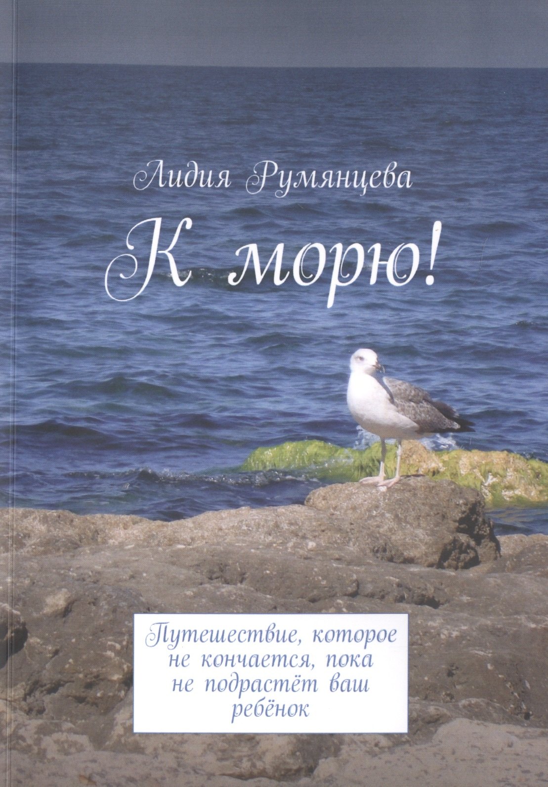 

К морю! Путешествие, которое не кончается, пока не подрастет ваш ребенок