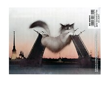 Картина-раскраска по номерам «Кот, Дворцовый мост, Петропавловская крепость», 20 х 30 см, холст на подрамнике, Art idea