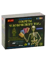 Научная игра - Секреты человеческого тела