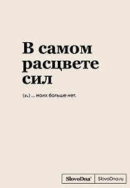 Книга для записей А5, 64 листа "SlovoDna. В самом расцвете сил", с контентом